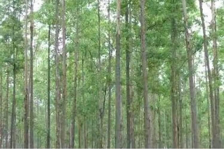 制备硝酸和化肥的重要肥料用的是氮气的物理性质吗