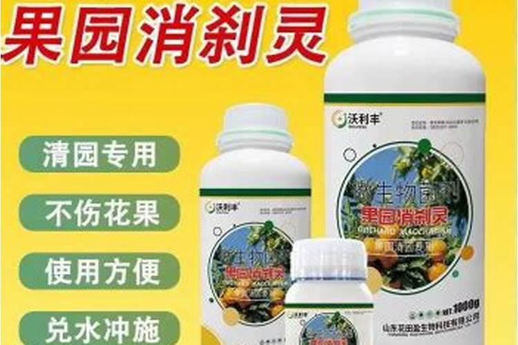 露薇花怎么换盆