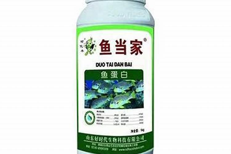 三角梅需要什么肥料最好