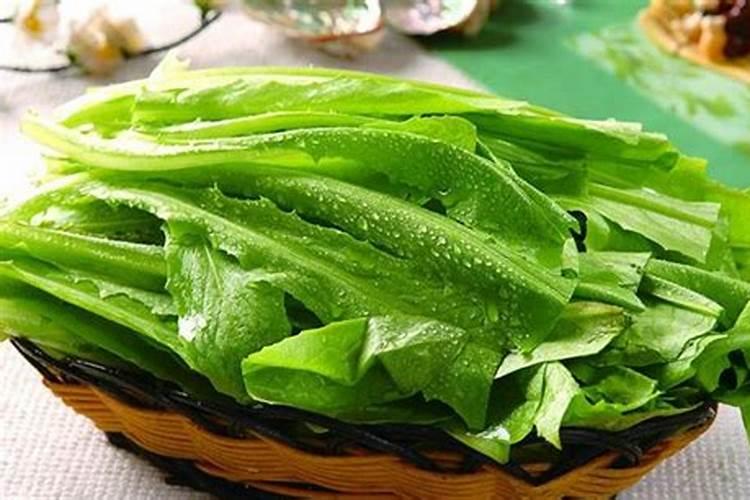 油麦菜怎么种植方法