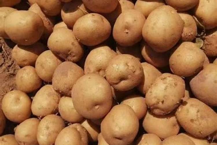绿豆开花时能喷叶面肥