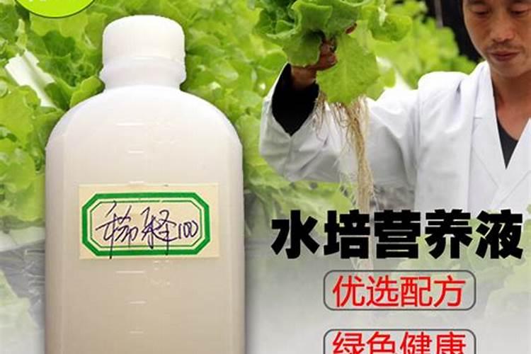 云苔素拌麦种用量 云苔素的使用方法