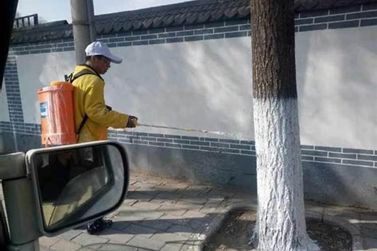 氨基酸叶面肥果树涂杆枝术怎么操作？
