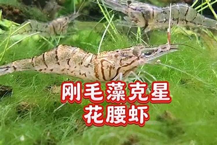 农业知识:我国肥料分类及执行标准大全!