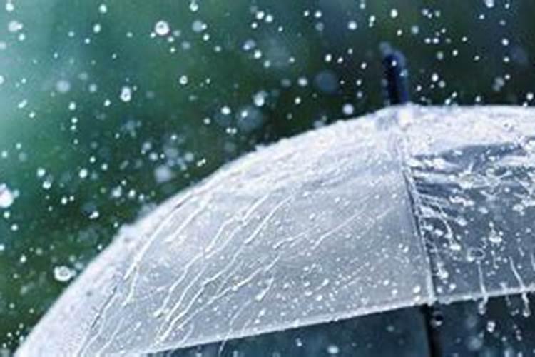 连续下雨后需要给蔬菜施肥吗,用尿素好还是复合肥好