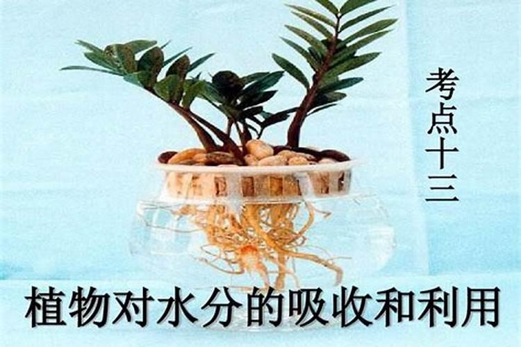 氮磷钾肥能喷洒叶面吗