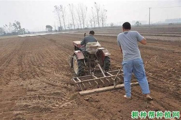 大蒜需要什么时候浇返青水,和水融肥,还需要打什么药啊？