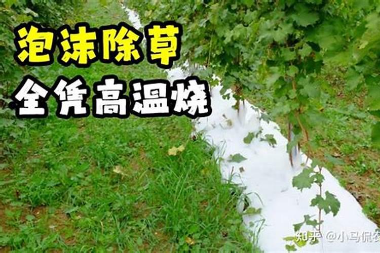 中微肥木醋液好用吗