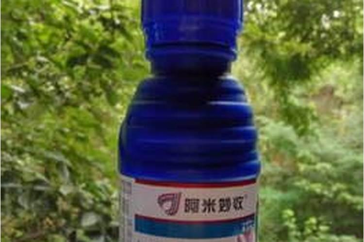 钙肥的缺乏和过量对草莓有什么危害？