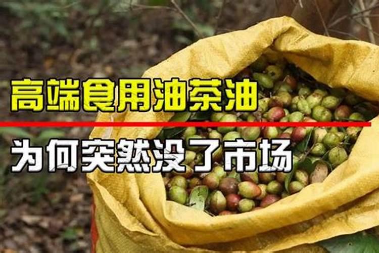 无公害的红薯怎么种 种红薯需要翻藤还是提藤好