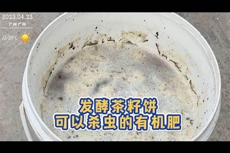 牡丹叶面肥打什么 喷肥注意事项