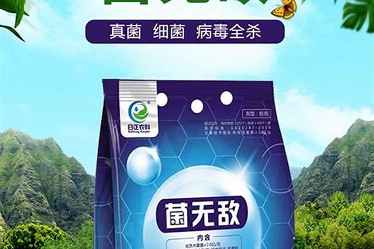 种蔬菜大棚用什么肥料