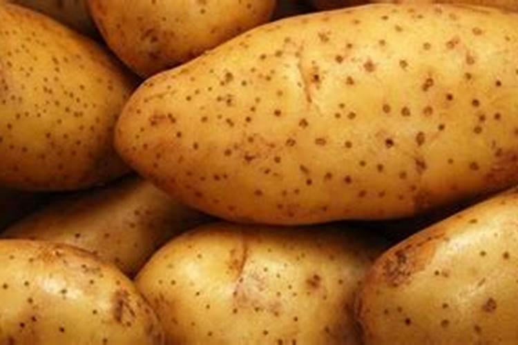 土豆开花后施什么肥料