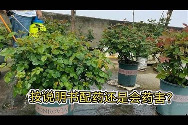 怎么给花施复合肥