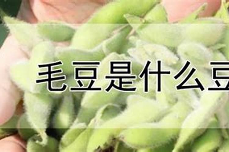 磷肥是什么肥料