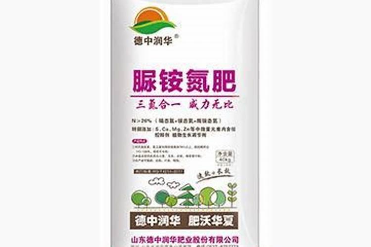 草莓柿子是什么水果 怎么辨别
