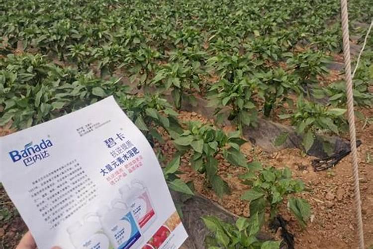 钾肥能肥水吗