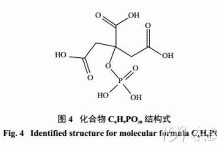 常见的浇花的钾肥和磷肥是什么