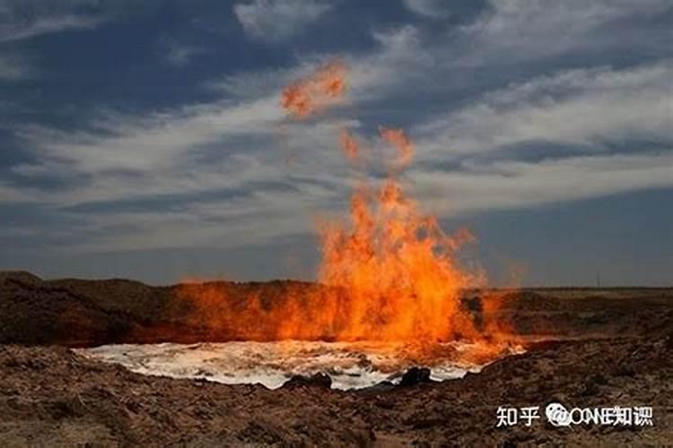 绿萝可以浇酱油水吗