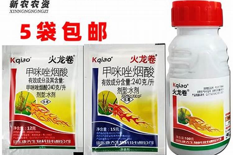 火龙果要种多少深？