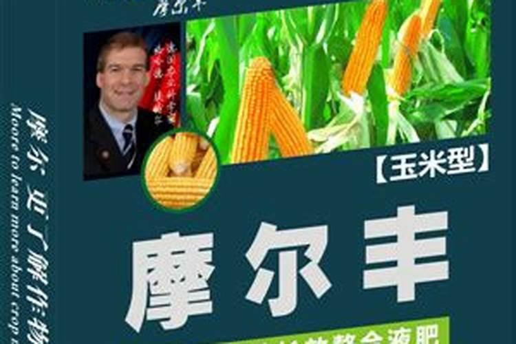 黄瓜秧药打多了能不能死