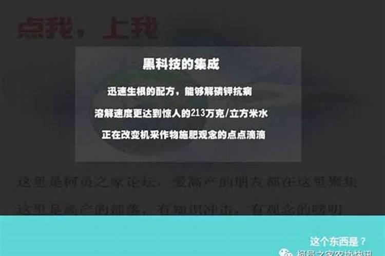“活力碳”解决高温期水难肥案例