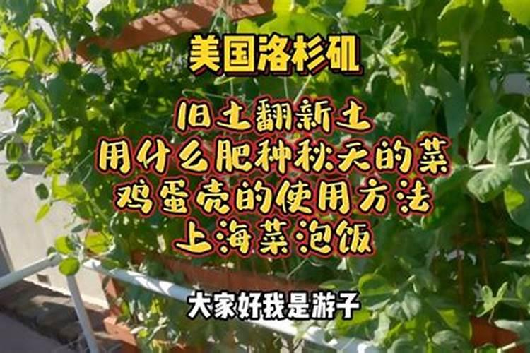 种植蔬菜在喷叶面肥时,有哪些注意事项？