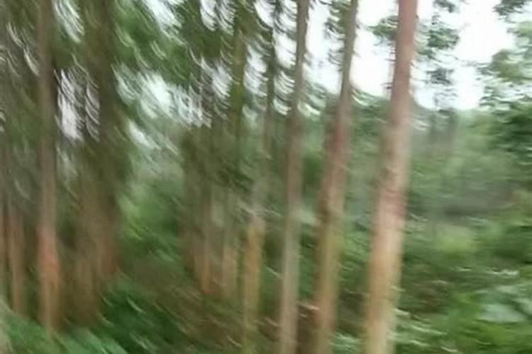 氮磷钾可以直接放水里面直接溶解吗？尿素,复合肥,二胺之类的。