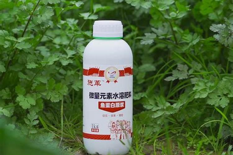 重庆市涪陵区喜宝果蔬种植场怎么样？