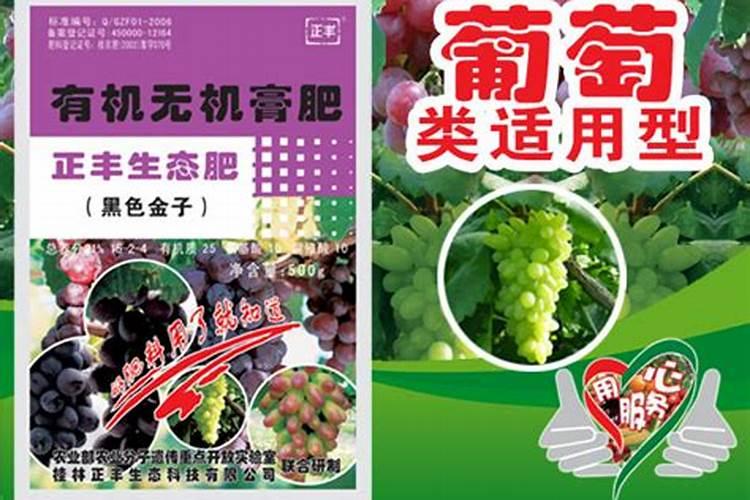 太阳花可以在小苗的时候就用氮肥吗