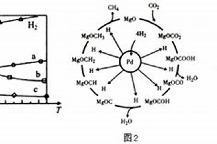 复合肥,氮肥,磷肥,钾肥有什么区别