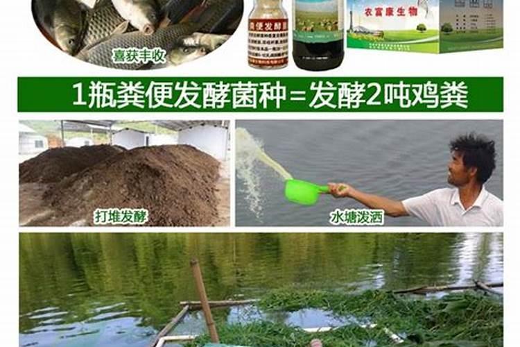 鱼蛋白液体肥制作工艺,鱼蛋白液体肥设备