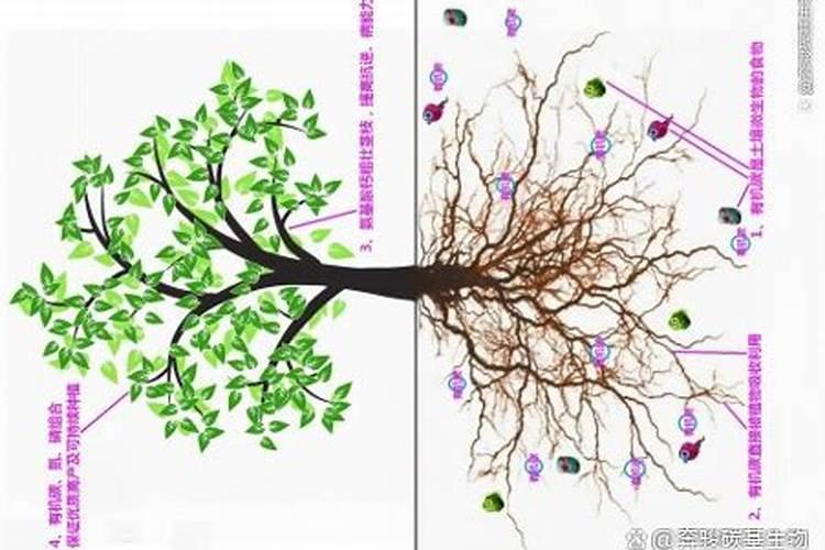 什么中药里含钾