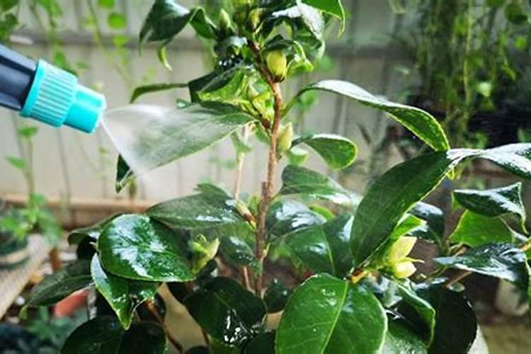 区别钾肥磷肥氮肥和复合肥料的依据是什么种类