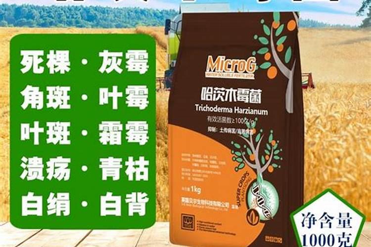 哈茨木霉菌和枯草芽孢杆菌用在苹果树上什么时候好
