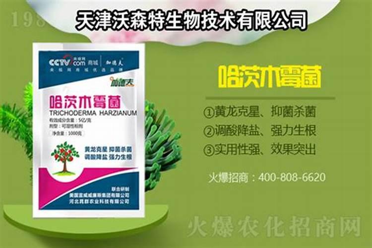 农业生产中常见的微生物菌剂芽孢杆菌/木霉/链霉菌