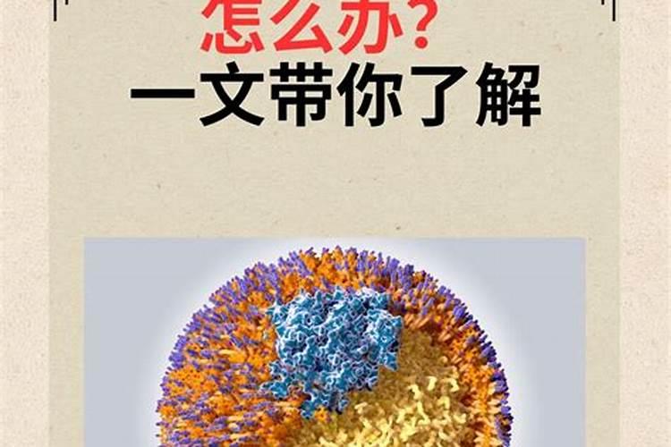 怎样自制家庭养花用的磷肥和钾肥,家庭养花怎样发酵出磷钾肥