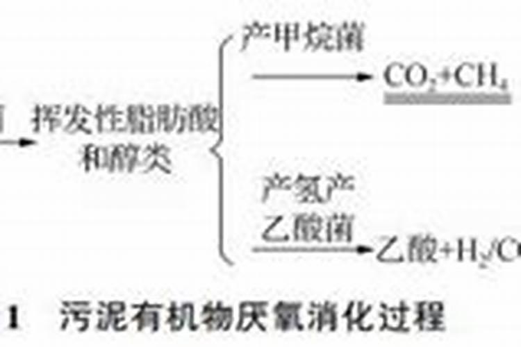 腐殖酸为啥能修复土壤,如何修复土壤,在肥料上应用