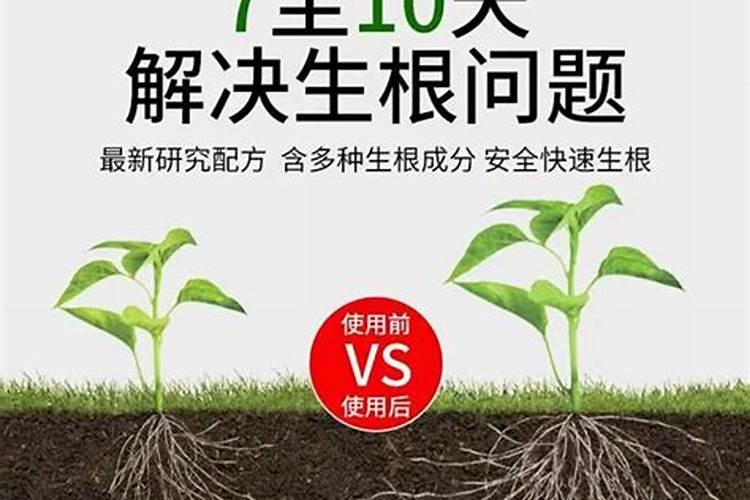 是不是所有的花卉植物都要施氮磷钾