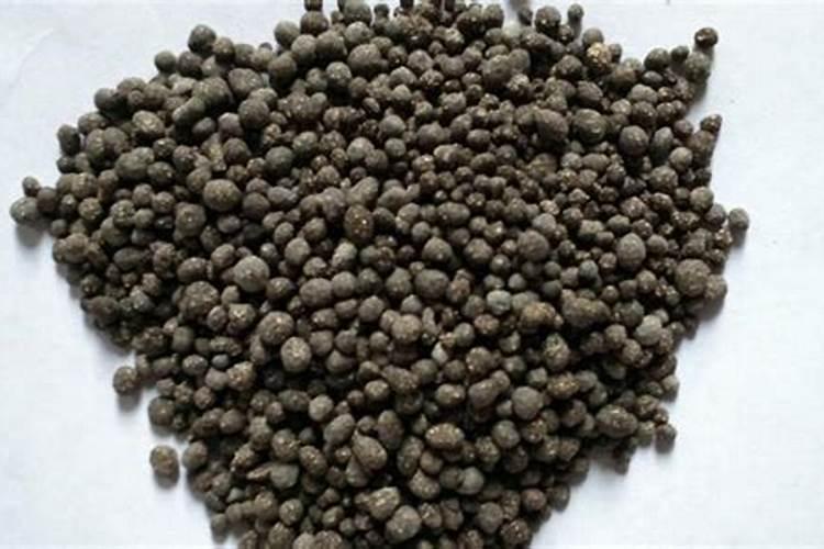 芒果树用什么肥料最好