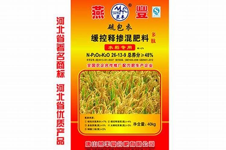 杨梅树什么时候施肥,杨梅树如何施肥