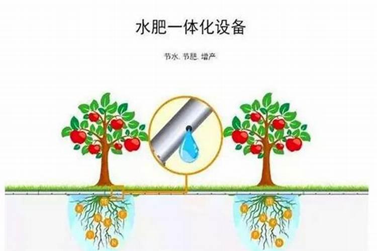 自己怎么做滴灌施肥器
