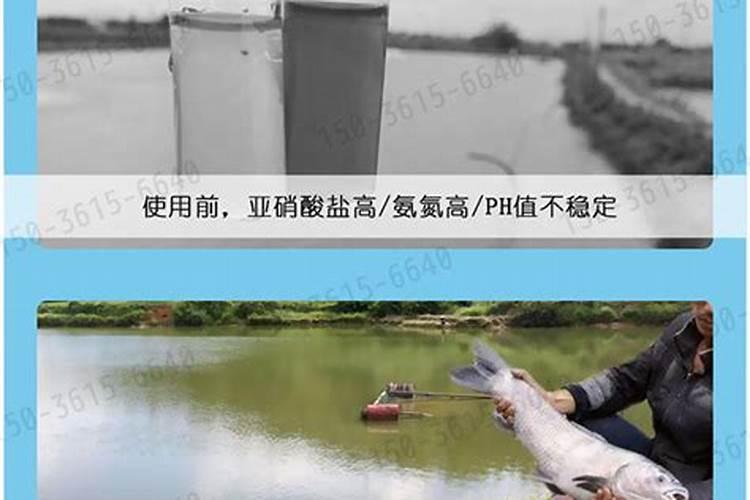小麦根腐病,叶枯病用什么药