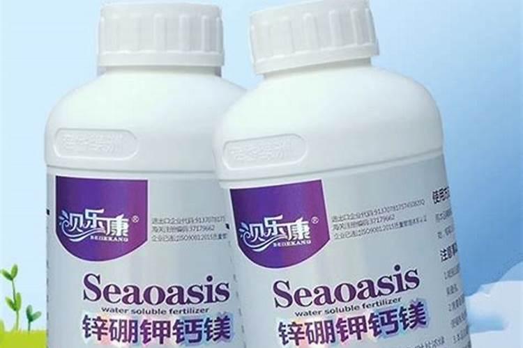 水养富贵竹没有生根可以放化肥吗1