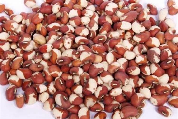 奶花豆栽培管理