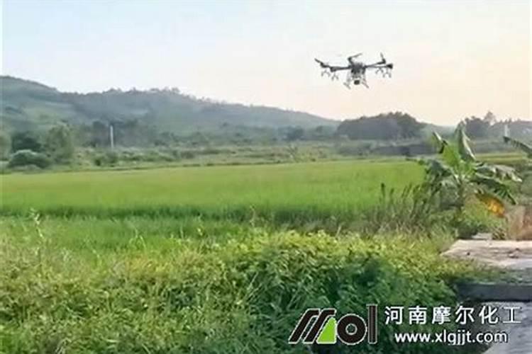海藻有机肥能完全代替化肥用吗？哪个省钱？哪个效果好？