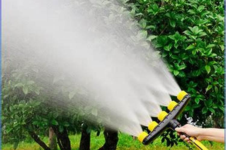 果树水溶肥的使用方法