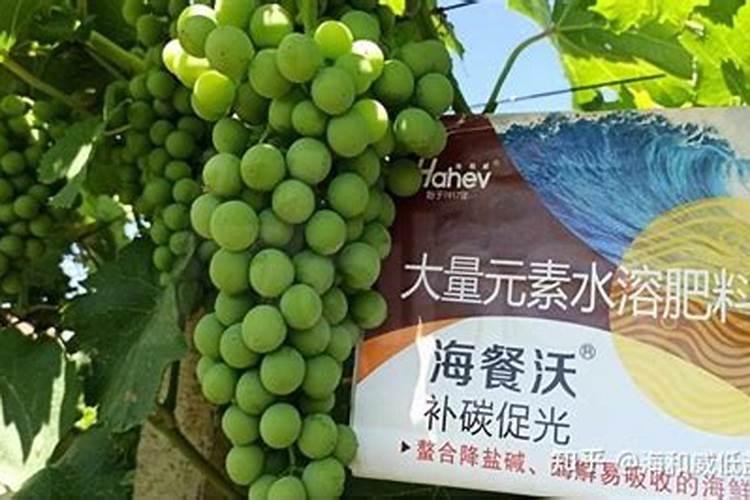 罗布泊水溶肥的主要作用是什么？