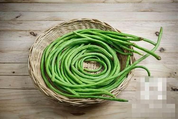 自己在家沤花肥又臭又慢？教你4招1个月就能做好肥,还没味