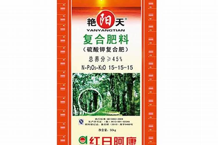红日阿康艳阳天